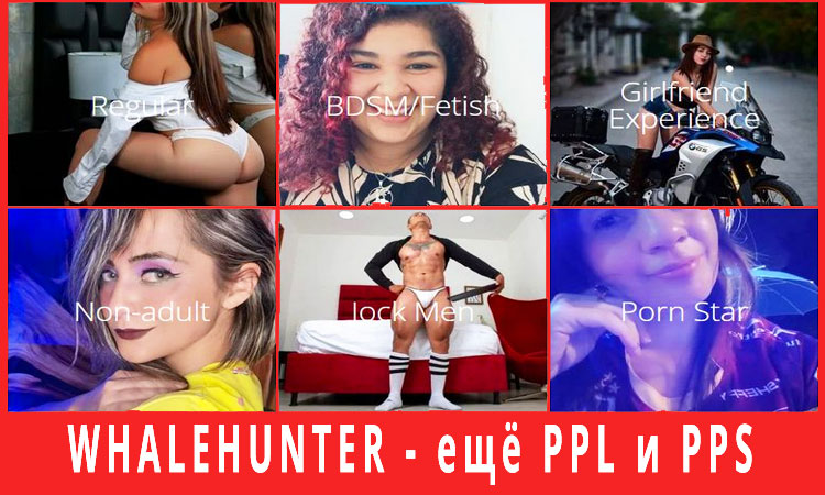      :   Whalehunter